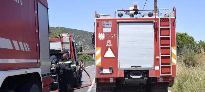 Δυο ανήλικοι προσήχθησαν για πρόκληση φωτιάς στην Κρυοπηγή Χαλκιδικής -11 και 9 ετών